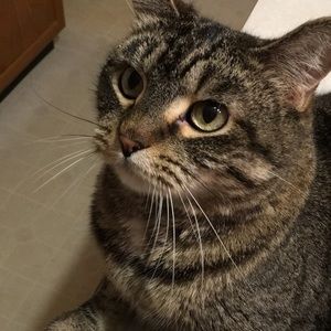 Meet your Posher, Thomas